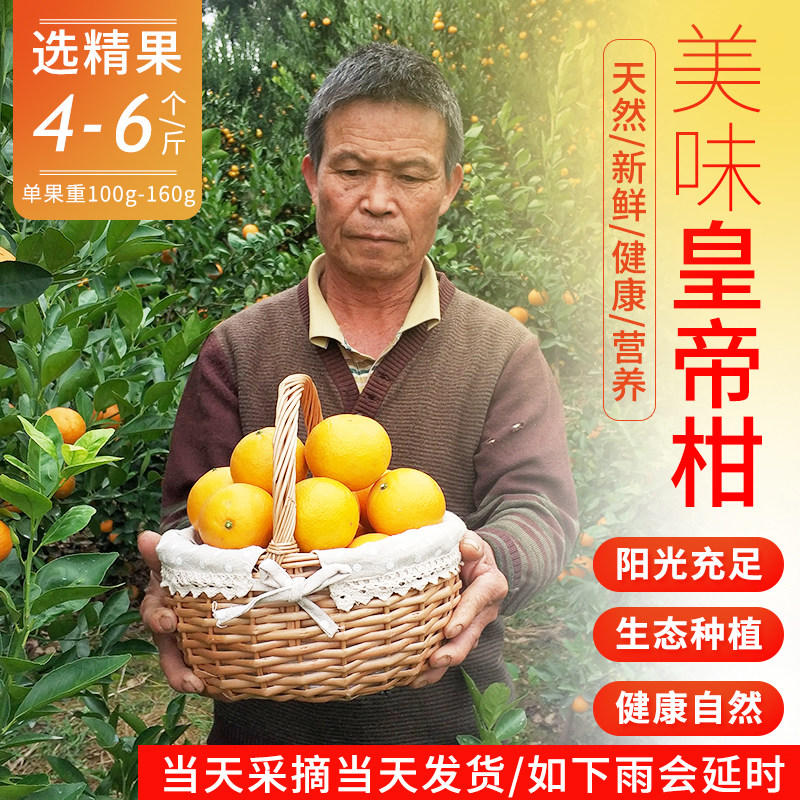正宗广西皇帝柑大果黄帝柑贡柑新鲜水果柑橘应季水果包邮