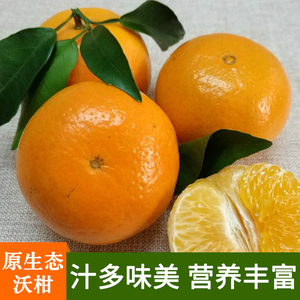 正宗广西武鸣沃柑橘子纯甜一级大果新年礼品当季新鲜水果新鲜沃柑