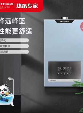 前锋数码恒温强排燃气热水器