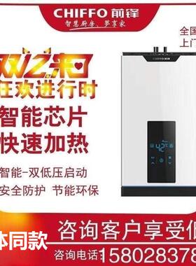前锋JSQ30-X315/新款X316燃气热水器强排智能恒温10/12/13/16升