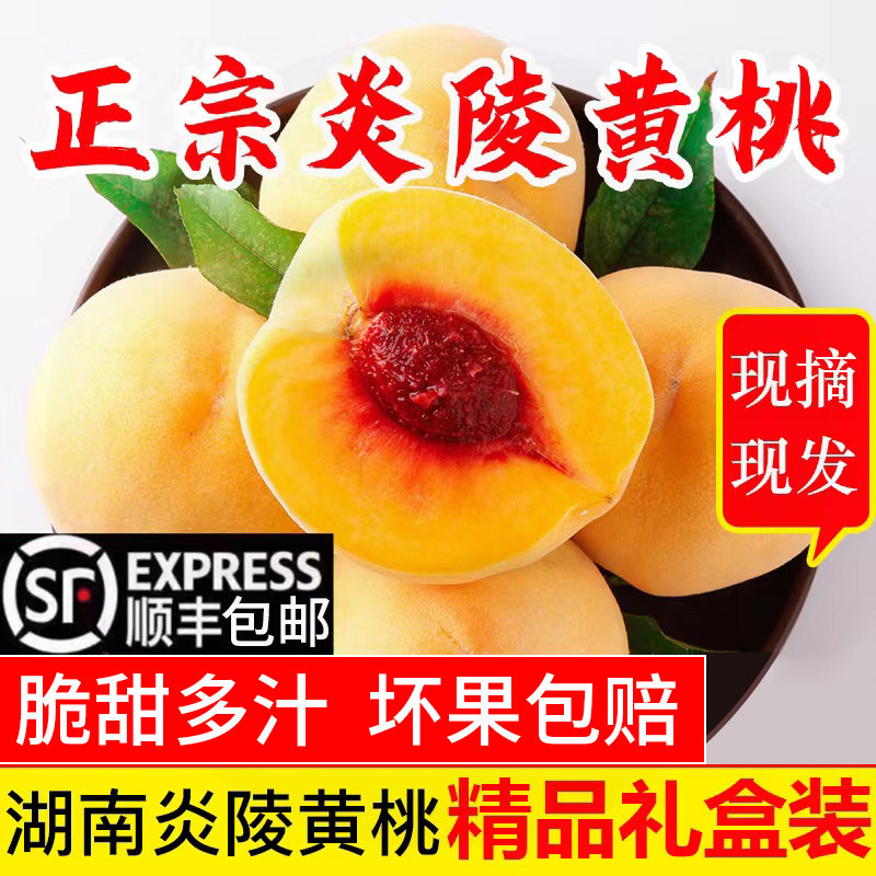 正宗炎陵高山黄桃【官方授权认证