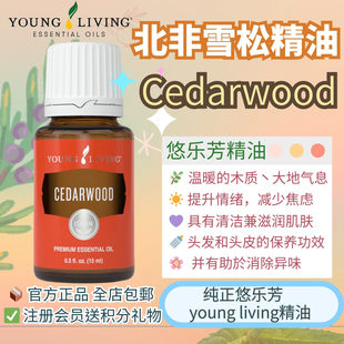 美国Young living悠乐芳雪松精油Cedarwood舒缓按摩天然秀发光泽