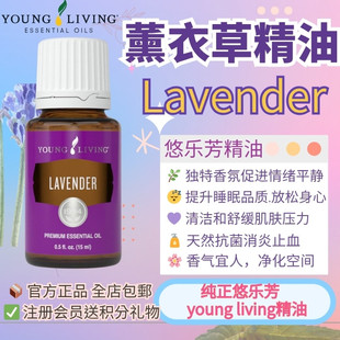 Young living悠乐芳Lavender薰衣草精油单方全身通经络助睡眠按摩