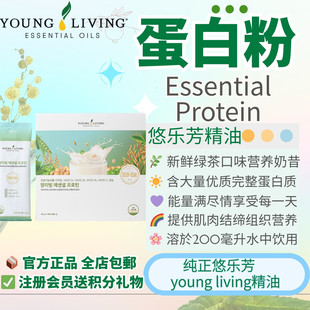 Youngliving悠乐芳Essential Protein蛋白粉绿茶口味营养清洁奶昔