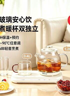 TEIMUS全自动煮茶器多功能养生壶套装花果茶壶办公室保温一体壶