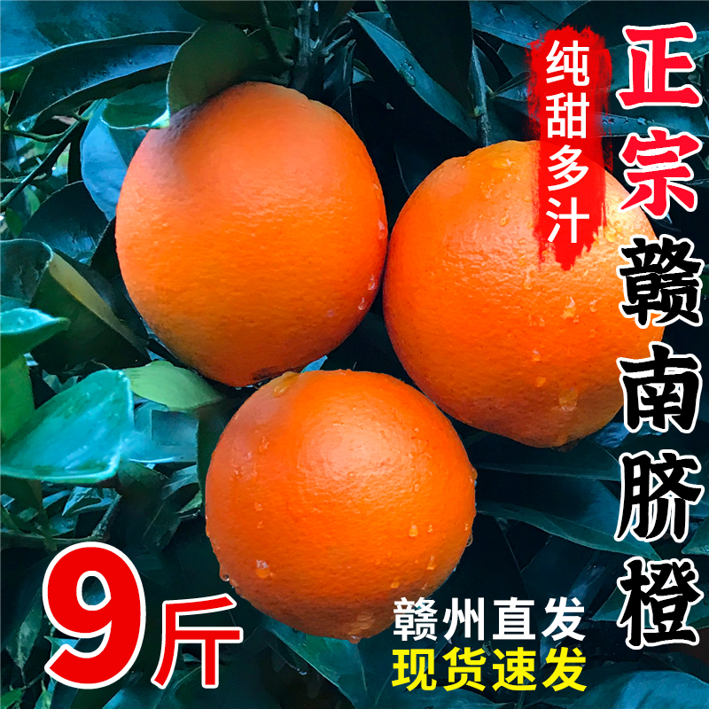 正宗赣南脐橙10斤橙子应当季水果新鲜赣州果冻橙手剥冰糖甜橙20斤