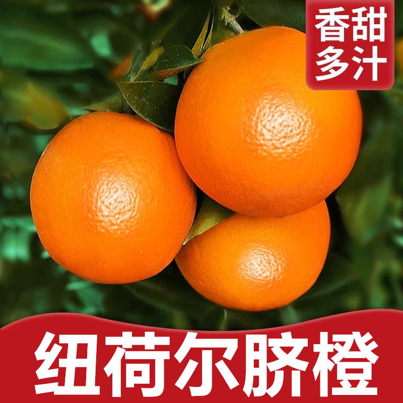 爆汁纯甜秭归脐橙纽荷尔