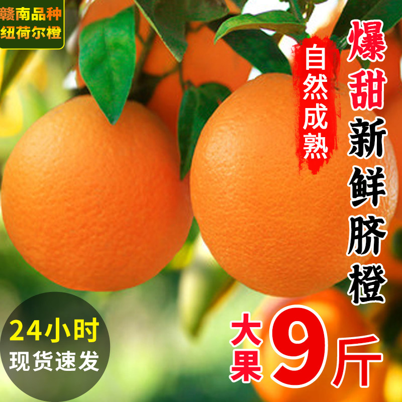 超甜纽荷尔脐橙子9斤新鲜水果当季整箱大果510斤江西赣州赣南品种属于什么档次？