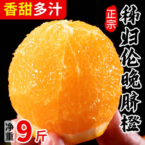 正宗纯甜伦晚脐橙秭归橙子