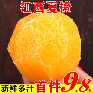 江西夏橙新鲜橙子9斤当季 水果正宗手剥橙果冻甜橙整箱大果 免邮 费10