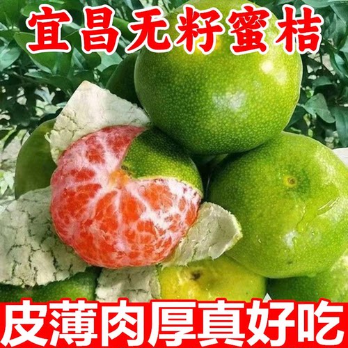 宜昌蜜桔特早熟云南蜜橘桔子