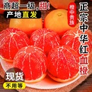 正宗血橙9斤秭归中华红橙子新鲜水果当季 整箱红心肉甜5脐3雪橙10