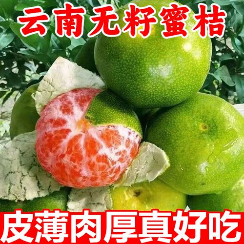 云南蜜桔特早熟云南蜜橘桔子