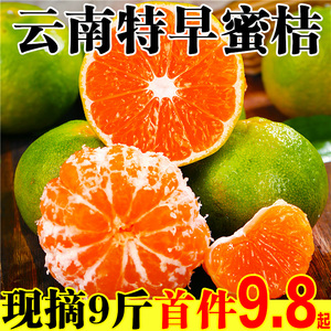 特早熟云南蜜桔橘子新鲜水果9斤当季5青皮桔子无籽孕妇整箱蜜橘10