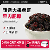 桑葚干新疆无硫精选新货特大果黑桑葚特级即食配黑枸杞养生泡水