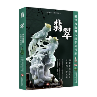 翡翠鉴定与选购从新手到行家(修订版) 32个翡翠品种介绍收藏保养书赌石业内揭底翡翠选购实操指南收藏投资理财入门书籍