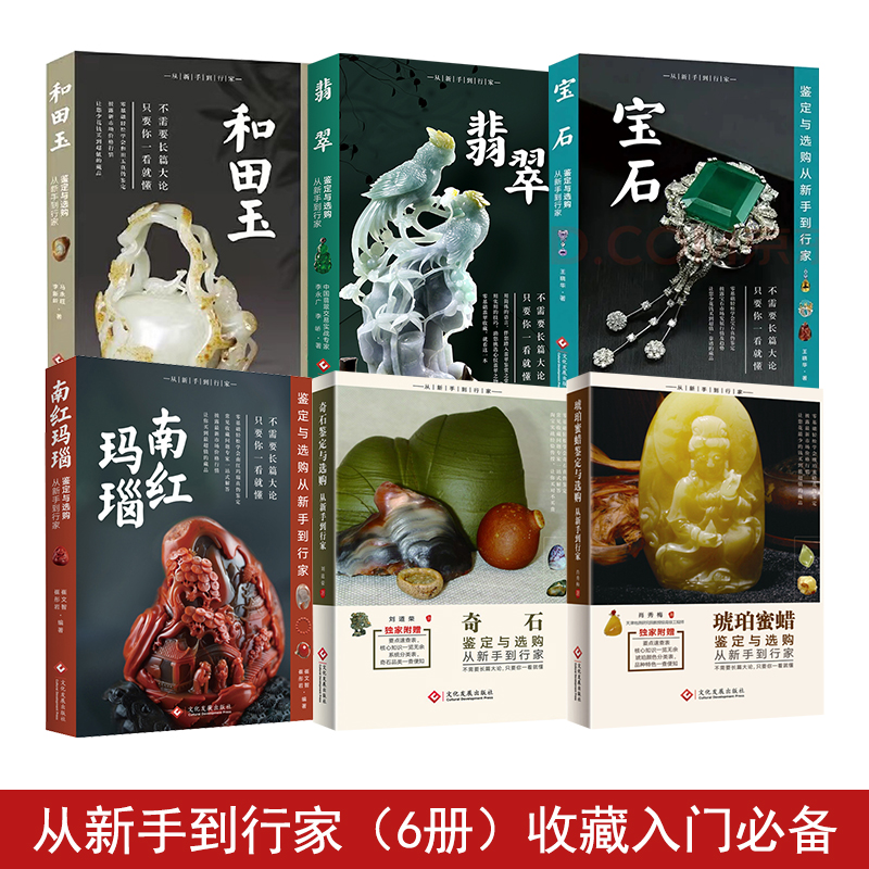 全6册 奇石鉴定与选购从新手到行家 宝石鉴定 南红玛瑙 和田玉鉴定 翡翠鉴定 琥珀蜜蜡鉴定投资收藏珠宝玉器奇石 文学艺术鉴赏赏析