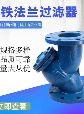 GL41H-16铸铁法兰过滤器 Y型法兰过滤器 污水过滤器 DN100