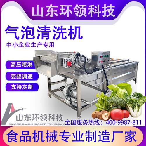 全自动果蔬清洗机小龙虾清洗线冲浪式气泡清洗机预制菜生产流水线