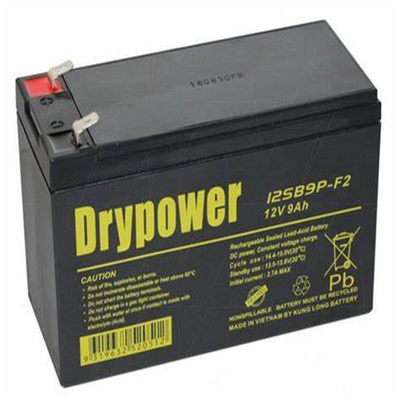 Drypower蓄电池12SB9P-F212V9A