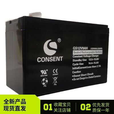 CONSENT光盛蓄电池GS12V9AH12V