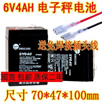 SHENGYANG晟阳蓄电池SY6406V4A