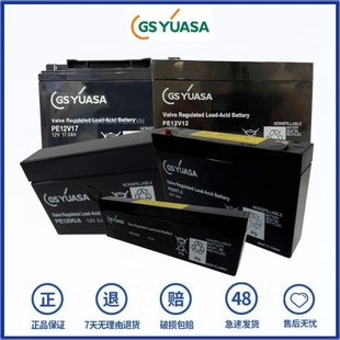 PE6V7.2 12V12.0AH PE12V0.8 PE12V17 6V电池 2.7 GSYUASA蓄电池