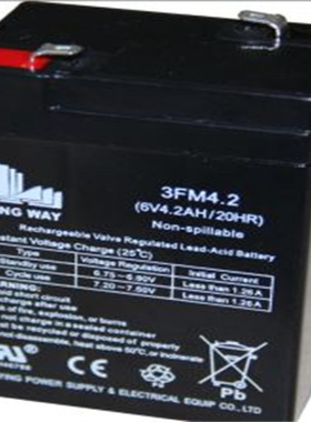 LONGWEI蓄电池3FM4.2 6V4.2AH/20HR电子称 仪器仪表电池
