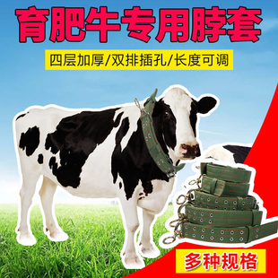 牛羊脖套犬狗项圈颈脖子圈笼头龙套栓拴牛用的项圈养牛场栓牛脖套