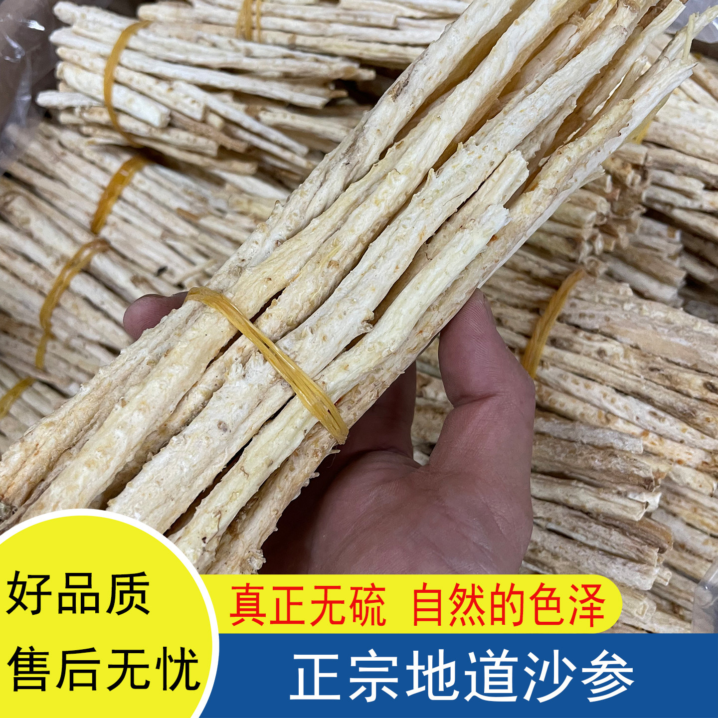 正宗内蒙北沙参新货新鲜干货广东煲汤材料无硫无添加500g天然晒干
