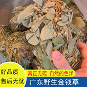 广东金钱草大叶煲汤料野生广金钱草无硫无洗干货泡水金前草过路黄