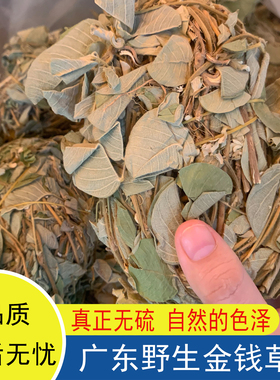 广东金钱草大叶煲汤料野生广金钱草无硫无洗干货泡水金前草过路黄