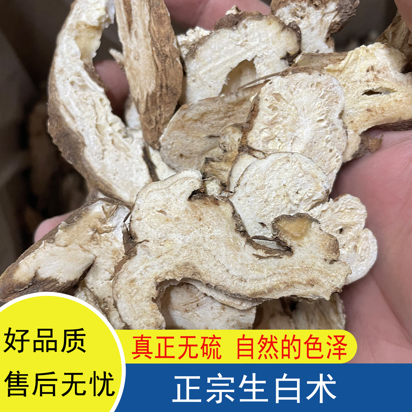 浙白术无硫正宗干货生白术片个500g白术泡水茶广东煲汤料无炒新货