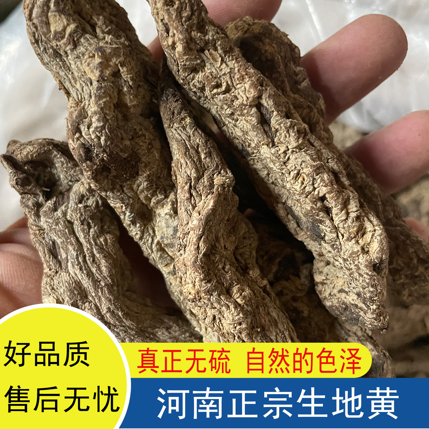 正宗河南特产生地黄干地黄怀地黄地黄个广东煲汤无硫干货泡酒煮水