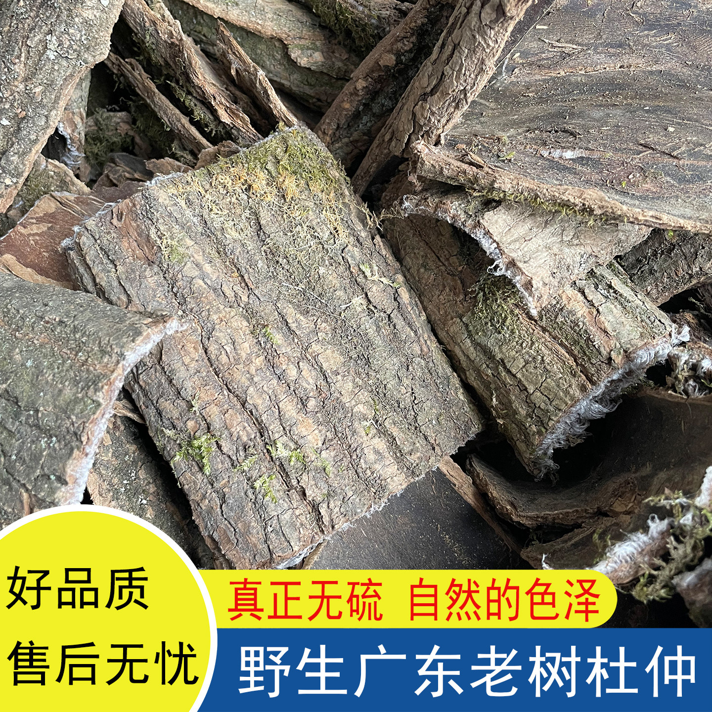 广东野生杜仲500g天然无硫正宗老树杜仲皮干货煲汤料泡酒树皮泡茶