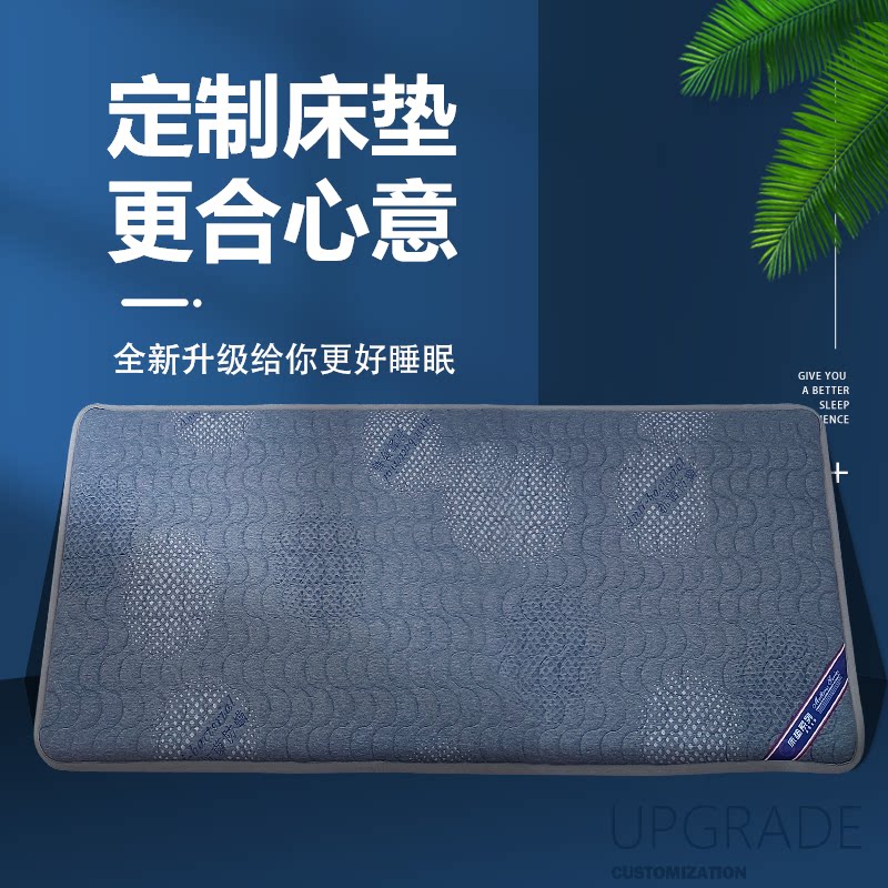 【抗菌除螨】榻榻米床垫定制隔凉防潮加厚透气炕垫飘窗垫床褥软垫图片