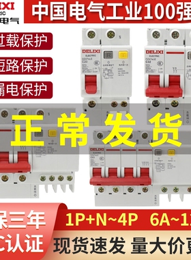 德力西DZ47sle空气开关63A漏电保护2P家用漏保32a断路器空开220V