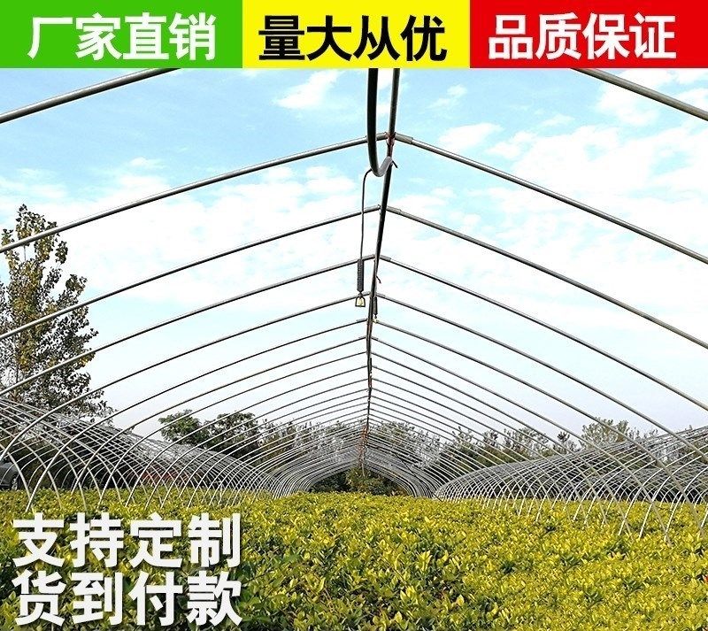 大棚骨架鋼管迷妳鋼架溫室大棚蔬菜種植棚養殖大棚連體連棟棚配件在類目 鮮花速遞/花卉仿真/綠植園藝, 園藝用品, 其它園藝用品中 - 來自Buy2taobao.com提供專業的淘寶代購服務