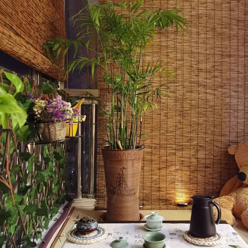 芦苇帘子装饰阳台草帘卷拉式遮光卷帘竹帘遮阳帘窗帘户外轻奢定制图片
