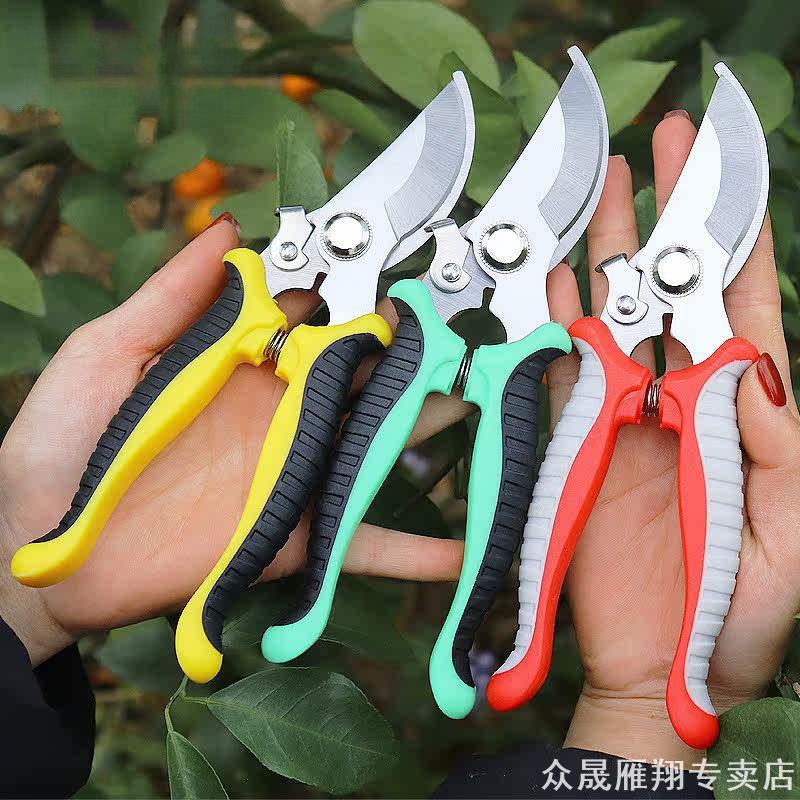 加长直刃摘果剪双色防滑手柄果园柑橘荔枝细枝修剪工具