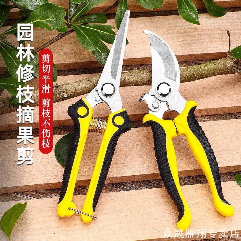 户外园艺双剪组合弯口粗枝剪加长直刃摘果剪双色防滑手柄套装