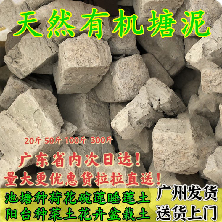 天然方块荷塘泥睡莲碗莲种植天然池塘土阳台庭院种花种菜有机肥土