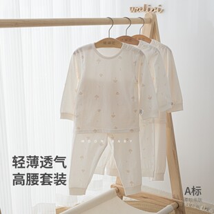 娃丽比儿童春夏高腰护肚分体套装 A无骨秋衣秋裤薄长袖居家服男女