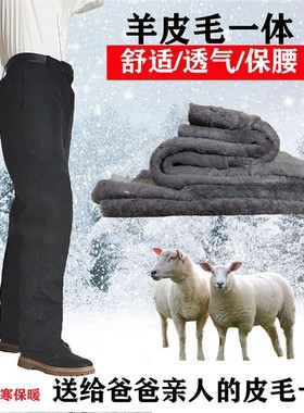 羊剪绒皮毛一体皮裤老年保暖