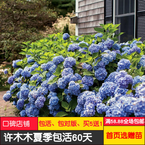 鸡尾酒有价格 鸡尾酒有图片 星期三