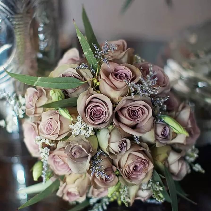 许木木月季露台复古庭院绿植