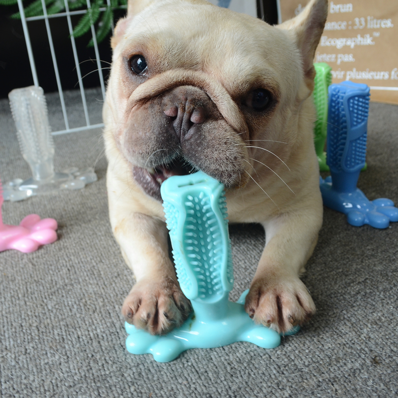 Dog toothbrush狗宠物牙刷狗玩具磨牙棒宠物洁齿橡胶狗牙刷用品|ruв категории животное/Животное питание и принадлежностей, кошка/собака игрушка, резиновый мяч/сферическая игрушки - от Buy2taobao.com для оказания профессиональной услуги покупки агента Taobao