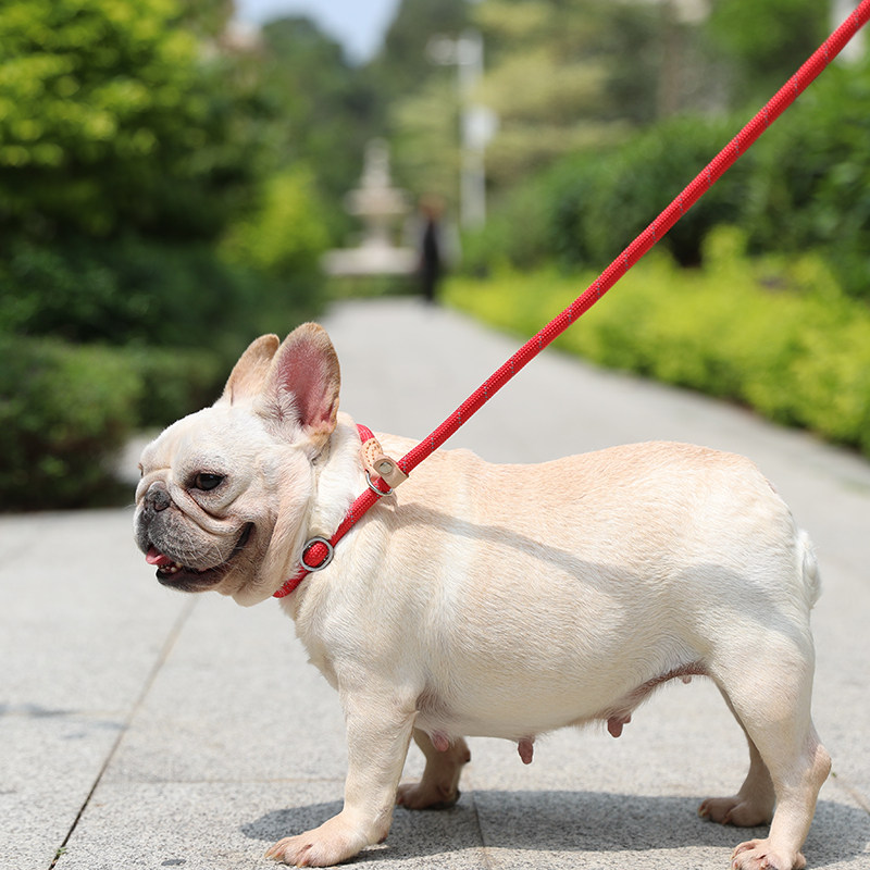 宠物p链p字绳训犬用品狗狗牵引绳遛狗绳子小狗链子小型犬中型大型
