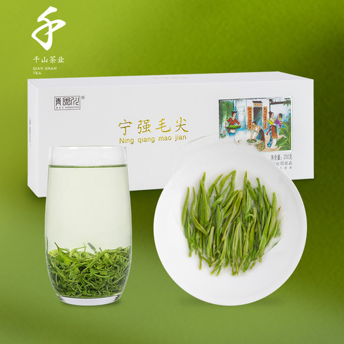 千山茶业青木川雨前毛尖2026新茶