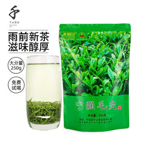 千山茶业2025新茶宁强毛尖半斤装